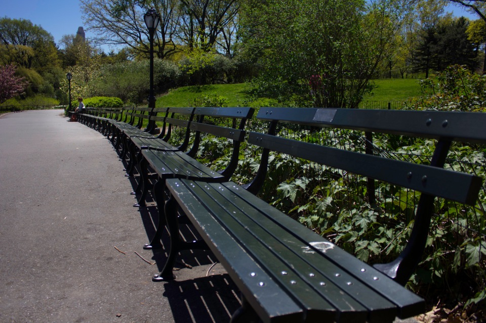 Sara lyckades med det omöjliga - att sitta helt ensam på en radda bänkar i Central Park. 